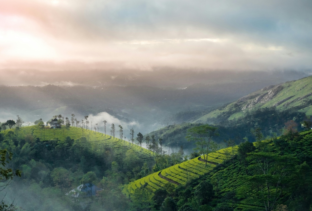 Kerala God's Own Country